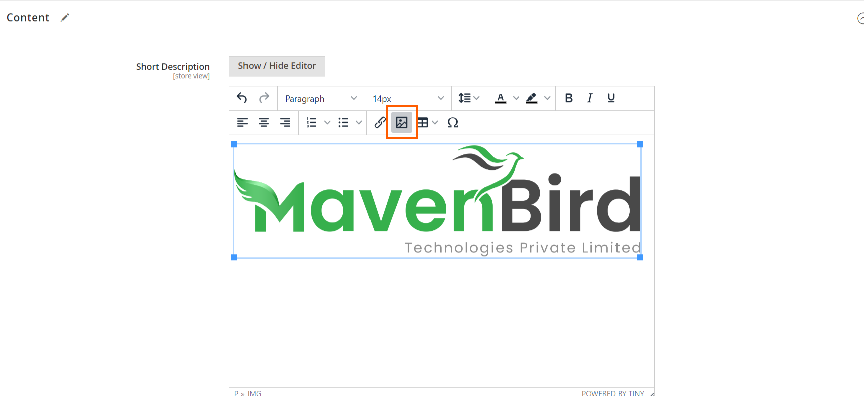 Wysiwyg Editor Upload