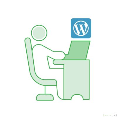 Hire Wordpress Developer