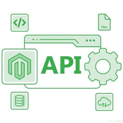 Magento API Development Services