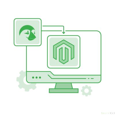 Prestashop to Magento Migration Service