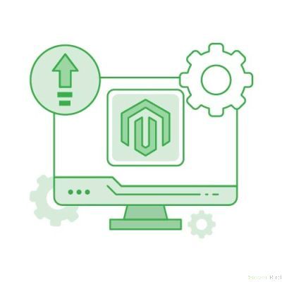 Magento 2 Upgrade Service