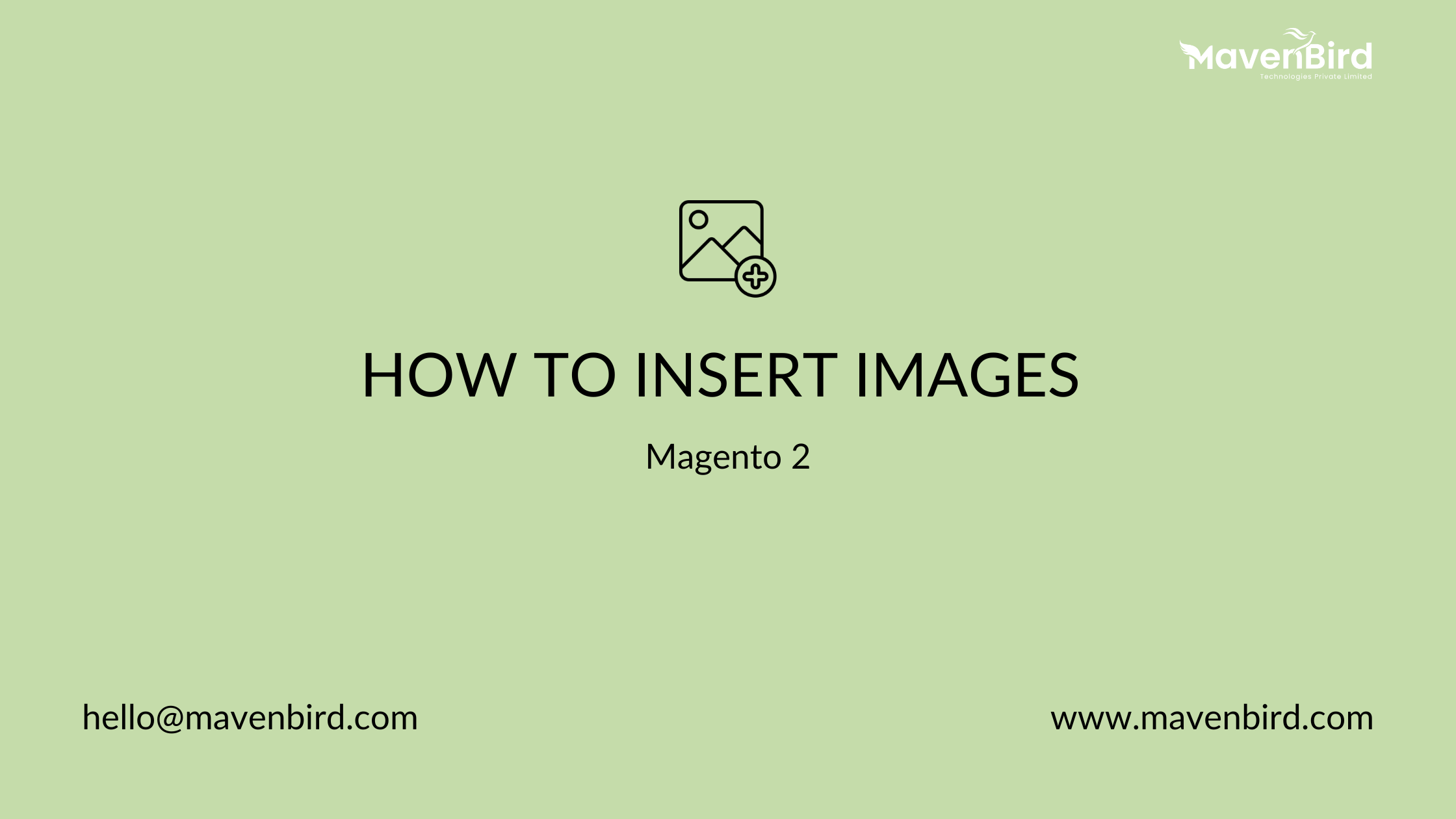 How to Insert Images in Magento 2