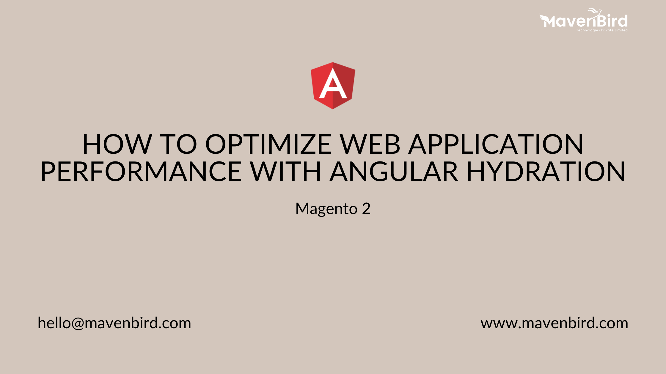 How to Optimize Web Application Performance with Angular Hydration