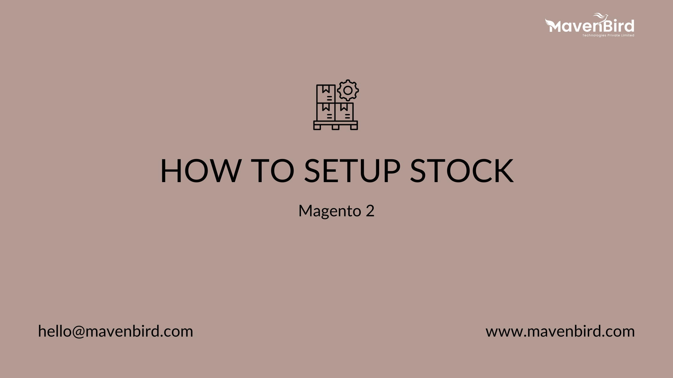 How to setup Stock in Magento 2