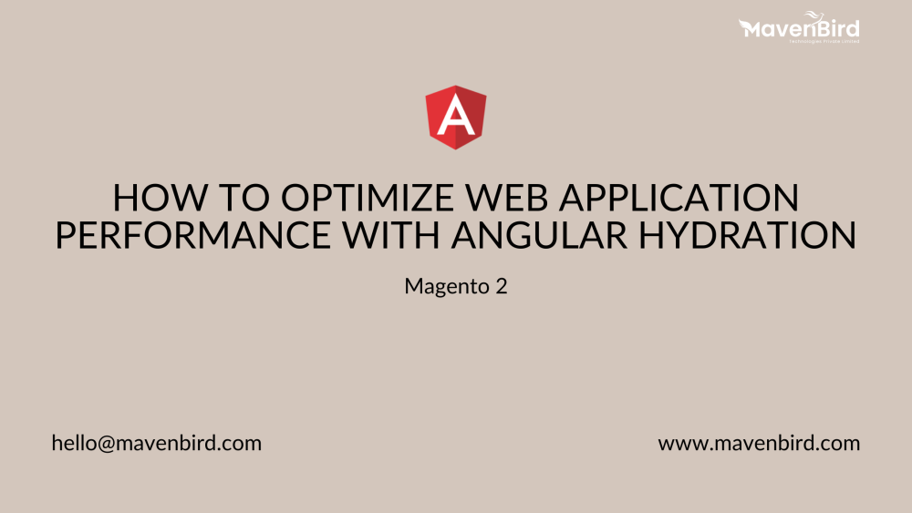 How to Optimize Web Application Performance with Angular Hydration