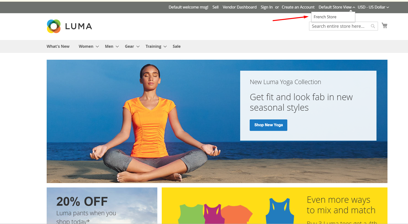 Language Switcher in Magento 2