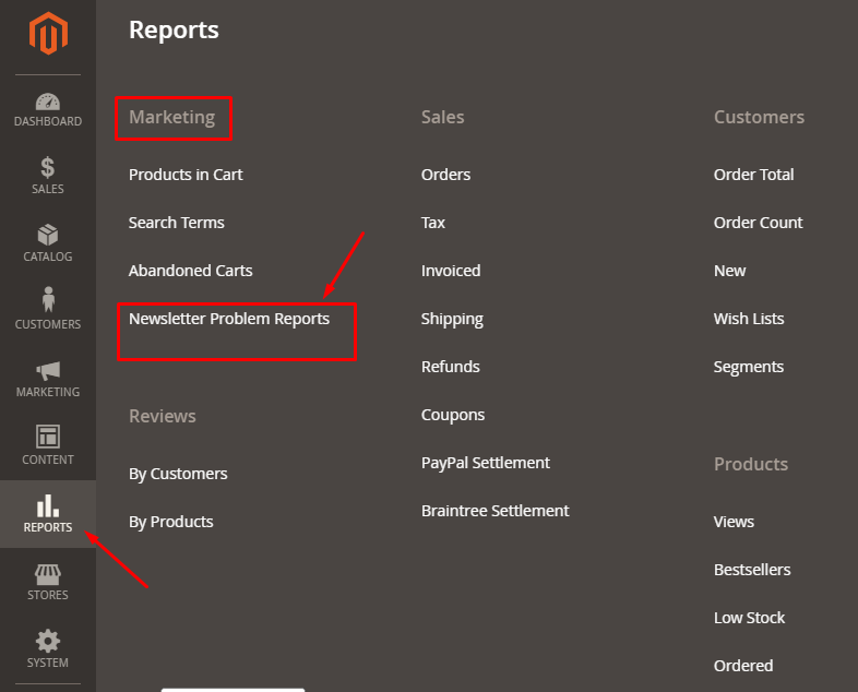 Check Newsletter Report