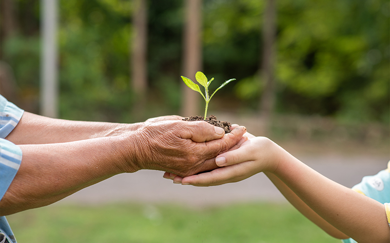 sustainability core values