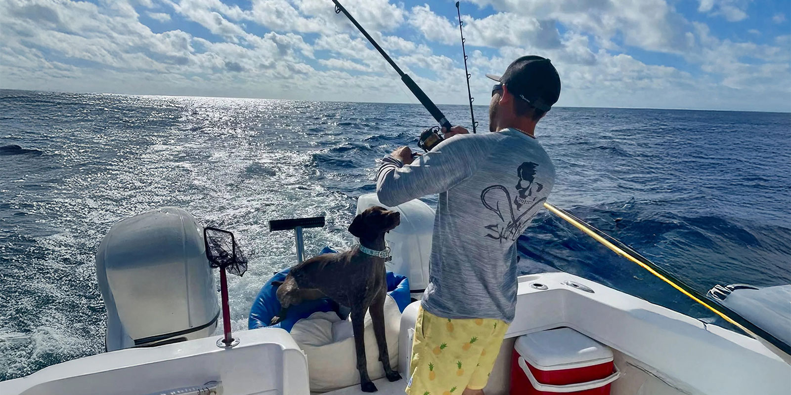 saltlife-Image